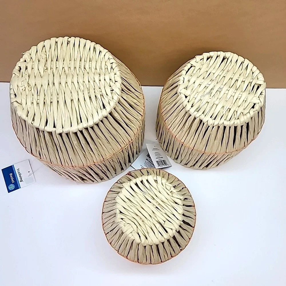 Set Of 3 Plastic Lined Natural Color Raffia Planter Baskets-6